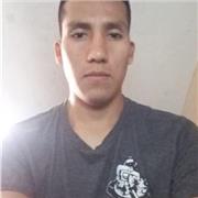 Profesor de matematicas, a nivel secundaria, pre universitario y universitario